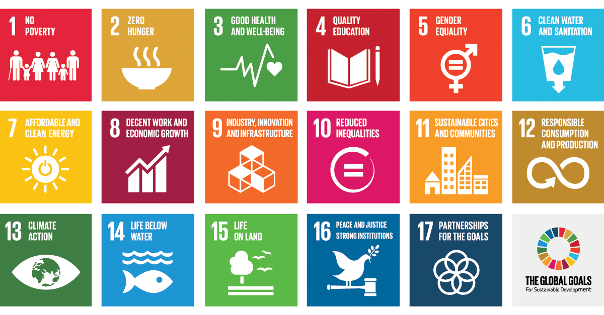 SDG Synergy